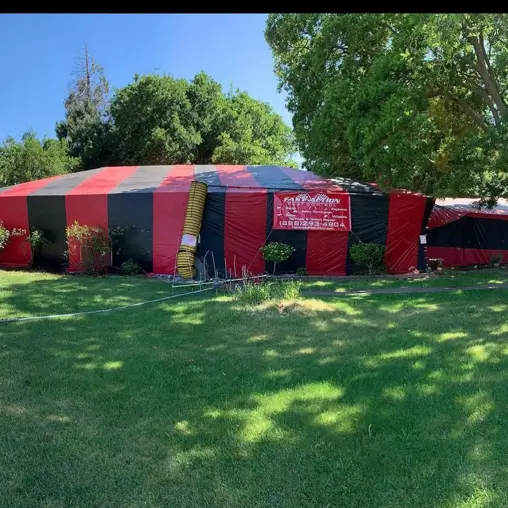 Pest Control Company in Stockton California | Fast Action Pest Control