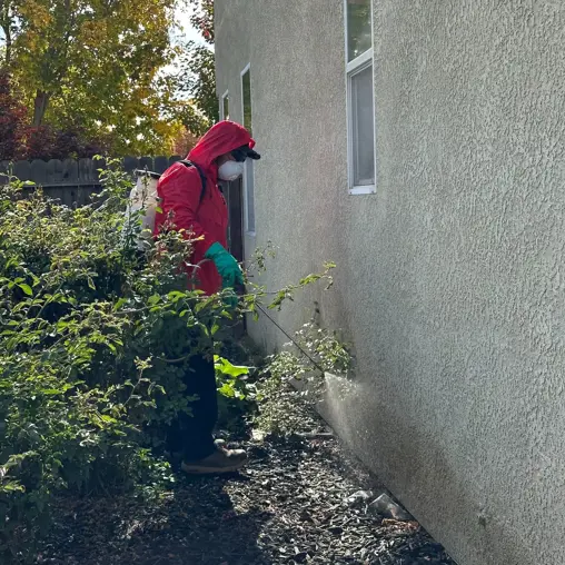 Pest Control Company in Stockton California | Fast Action Pest Control