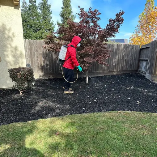 Pest Control Company in Stockton California | Fast Action Pest Control