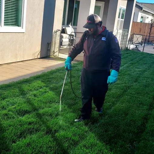 Pest Control Company in Stockton California | Fast Action Pest Control