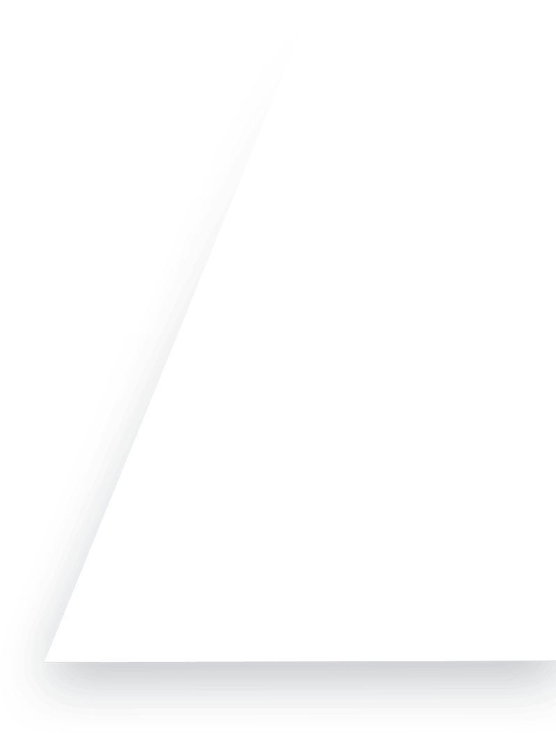 The Different Types of Bed Bugs Explained