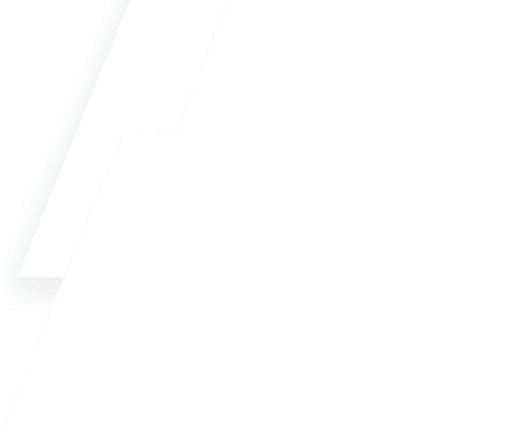 The Different Types of Bed Bugs Explained